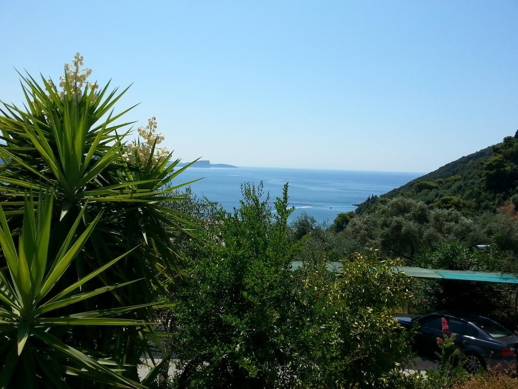 Dolphin Apartments 1 Parga Extérieur photo
